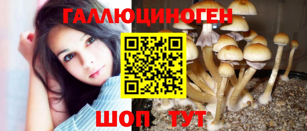 Галлюциногенные грибы ЛСД  Вход с VPN  Киров  Галлюциногенные грибы MAGIC MUSHROOMS 