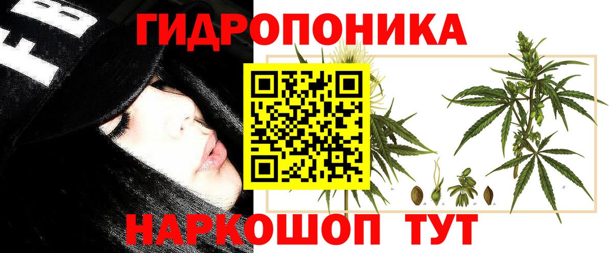 Киров  Шишки марихуана SATIVA & INDICA  Конопля White Widow  Бошки Шишки Bruce Banner  Вход с VPN 